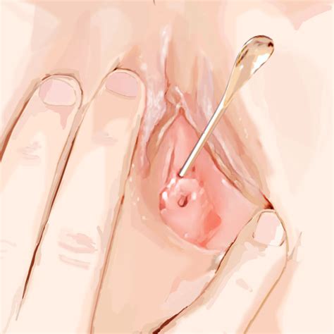 Rule 34 Close Up Enshi Ency Female Female Urethral Insertion Object