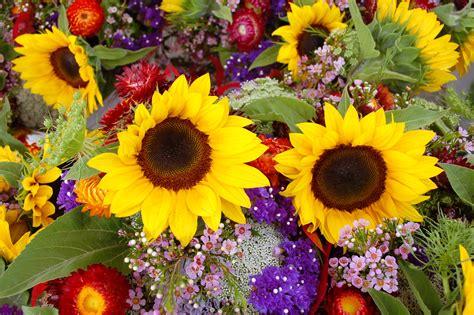 A Bunch Of Flowers Gl Brannock Photography