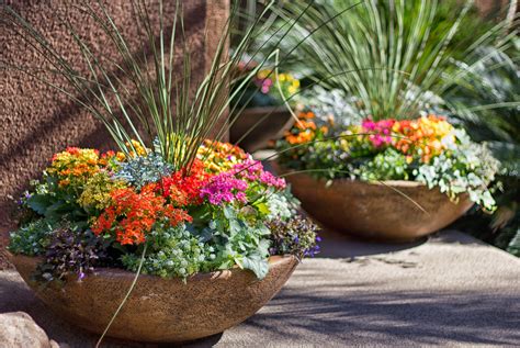 Five Key Factors That Affect Your Potted Plants In Winter Gro Outdoor