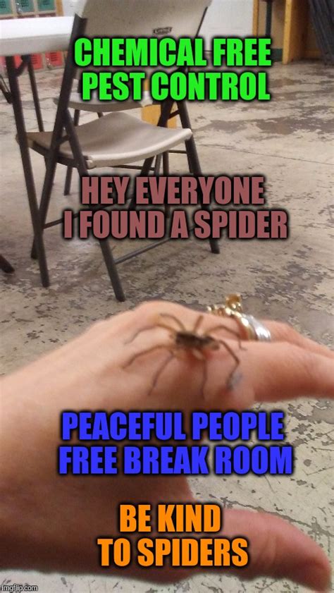 Misunderstood Spider Meme Shower