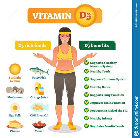 Vitamin D3 Vector Illustration List With Its Benefits And Food Source Stock Vector