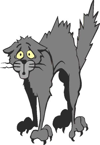 Free Scared Cat Cliparts Download Free Scared Cat Cliparts Png Images