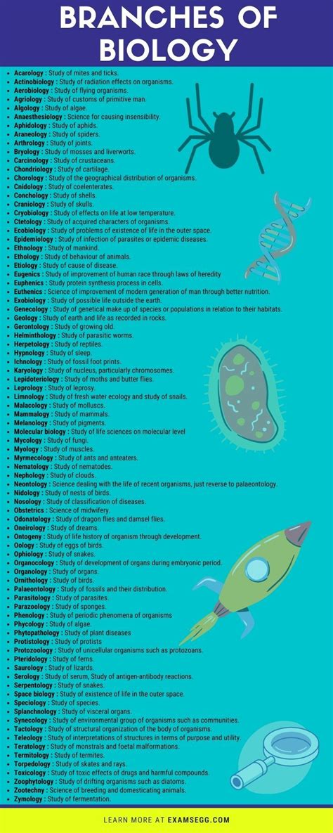 different branches of biology and their definition learn biology biology facts biology lessons