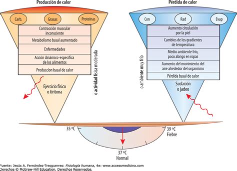 Diferencias Entre Calor Y Temperatura Cuadro Comparativo