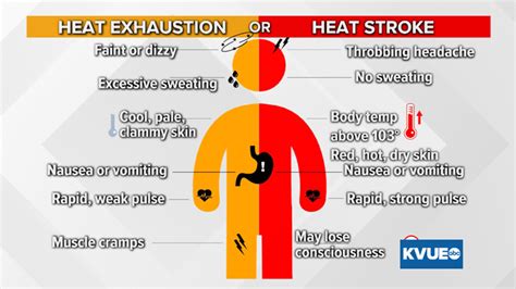 Heat Stroke Vs Heat Exhaustion Know The Warning Signs Kvue Com