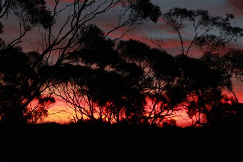 A Western Australian Sunset Nullarbor Plain Nullarbor Plain