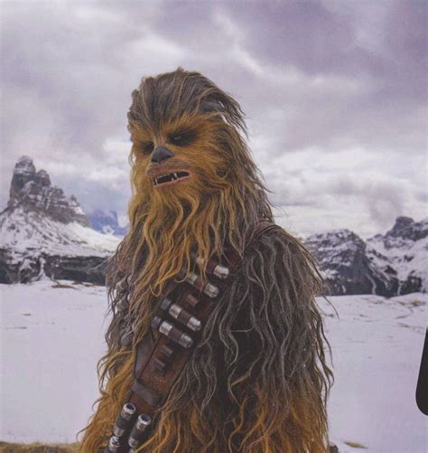Chewie Star Wars Chewbacca Star Wars Movie Star Wars Art