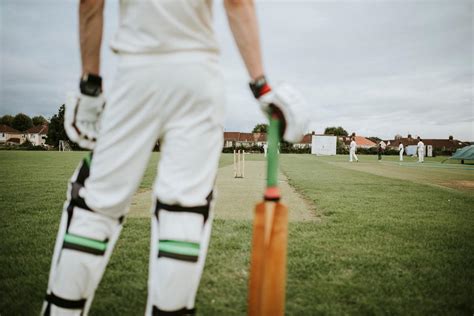 Cricketer On The Field In Action Royalty Free Stock Photo 528835