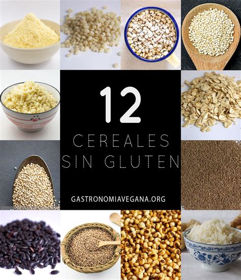 12 Cereales Y Semillas Sin Gluten En 2020 Gastronomía Vegana Cereal