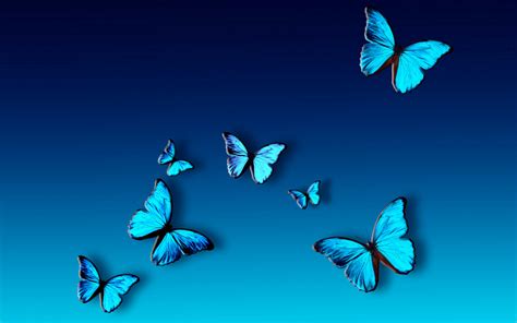 Free Download Collection Of Butterfly Background Wallpaper On