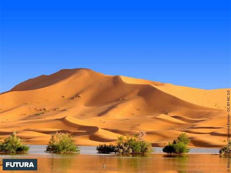 Désert Du Sahara Un Fond Décran Futura à Télécharger Desert Sahara