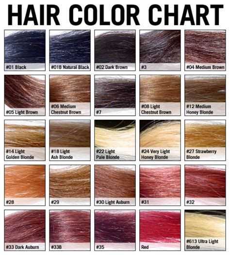 Shades Of Black Hair Color Chart