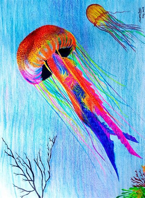 Jelly Fish Jelly Pens And Pencil Color 