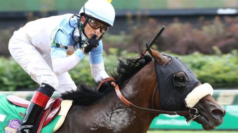 Getting To Know Breeders Cup Classic Hopeful Toms Detat Americas