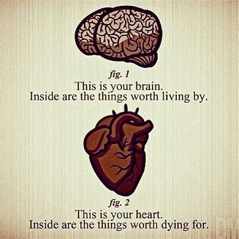 Brain And Heart Brains Quote Heart Vs Brain Heart Quotes