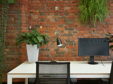 Zoom Virtual Background Office Plants Logwitt