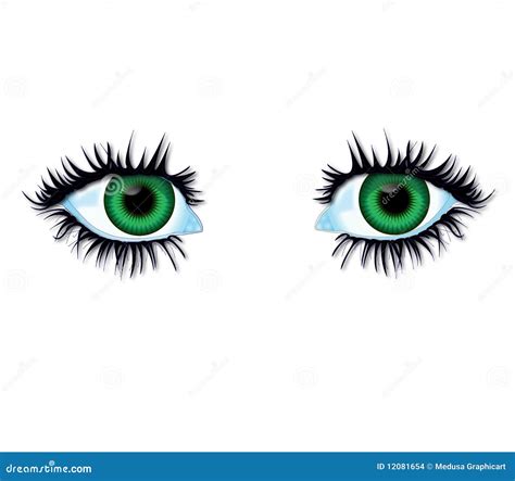 Green Eyes Stock Illustration Illustration Of Casing 12081654