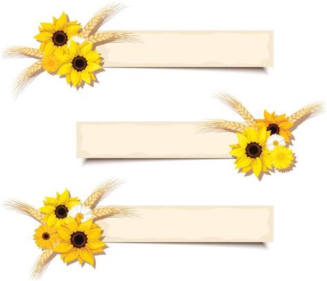 Sunflower Banner Illustrations Royalty Free Vector