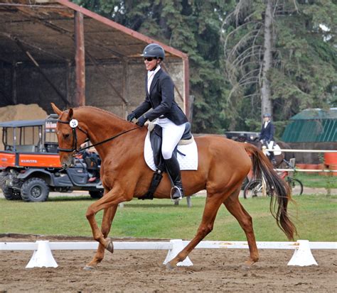 What Is Eventing Alberta Horse Trials Association