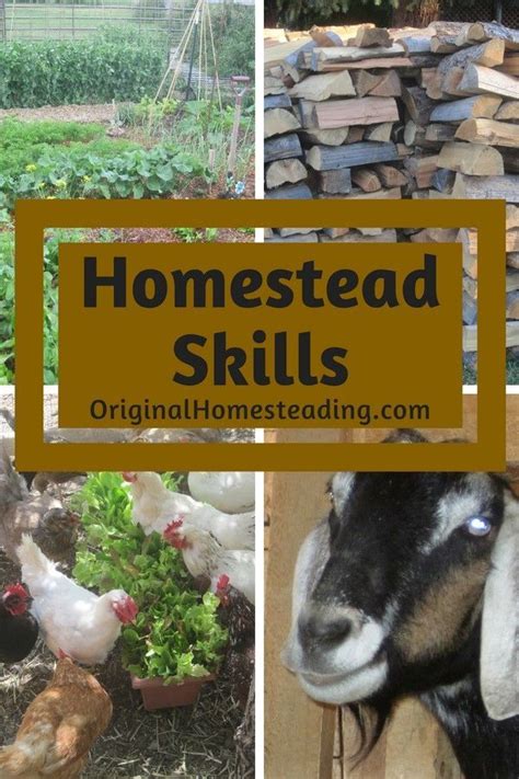 Homestead Skillsbeginning Homesteading Skills That Can Be Started