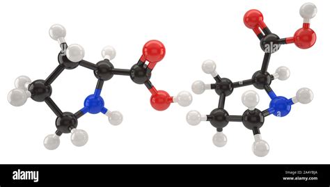 Proline Molecule Structure 3d Illustration With Clipping Path Stock