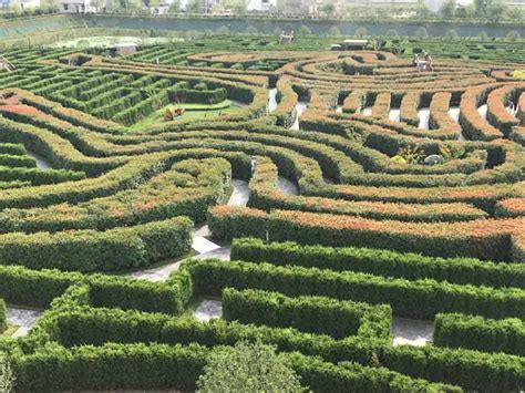 Video Look Round The Largest Maze Which Features A Path More Than 9 Km