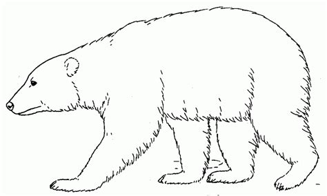 Index Of Wp Contentuploads201401 Bear Coloring Pages Polar Bear