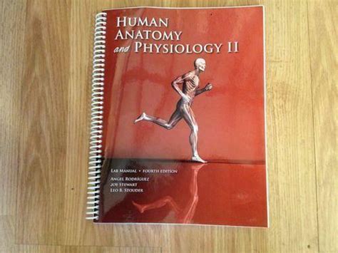 Human Anatomy And Physiology Ii Lab Manual 4th Edition Topbizbuys
