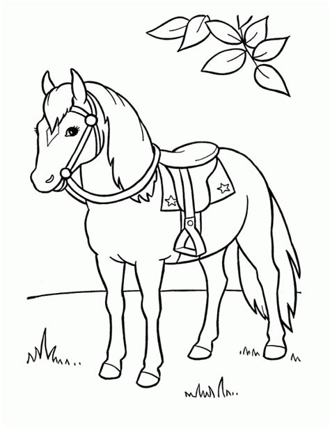 You need to use these photo for backgrounds on pc with best quality. Baby Horse Drawing at GetDrawings | Free download