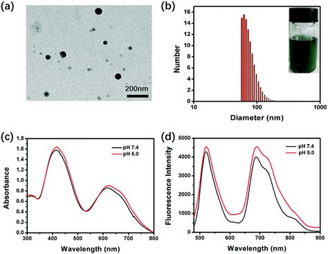 A Light Induced Nitric Oxide Controllable Release Nano Platform Based