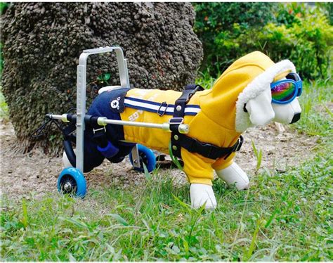 Dog Wheelchair Wheelchair For Dogs With Disabilities Wheels Dog