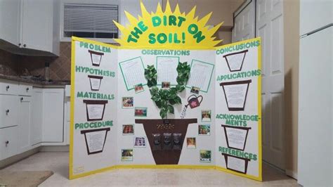 Plant Science Fair Projects Stem Fair Projects Science Project Board