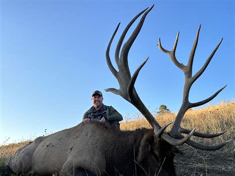 Elk Bison And Mule Deer Hunts Lodge At Chama