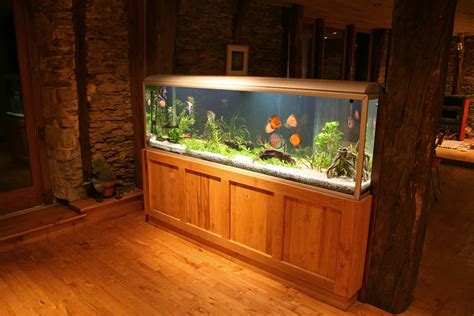 55 Gallon Fish Tank Our Top 5 Choices Pets For Children