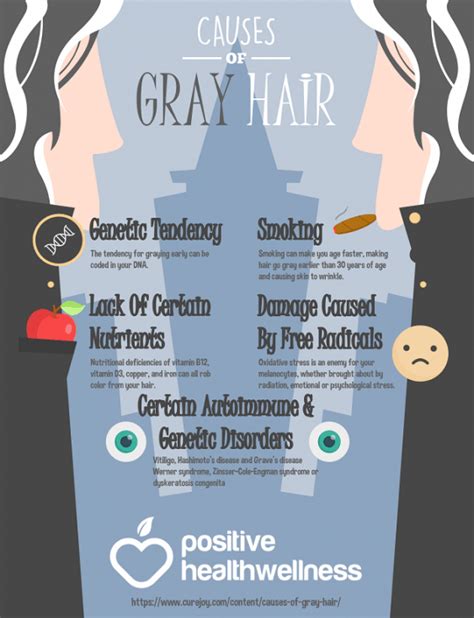 What Causes Gray Hair And How To Prevent It Infographic Positive