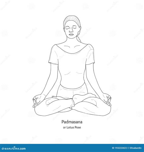 Padmasana Or Lotus Pose Yoga Practice Vector Stock Vector
