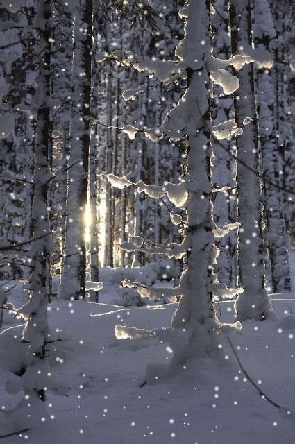 1000 Images About Winter Wonderland On Pinterest