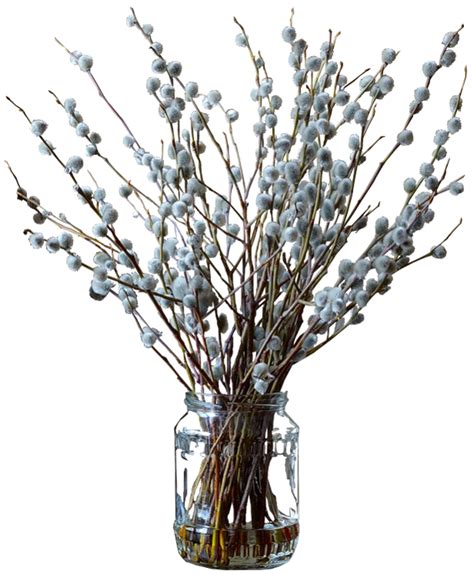 Dry Flowers Png High Quality Image Png Arts