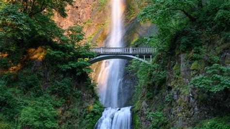 Multnomah Waterfalls Between Rocks And Bridge Around Green