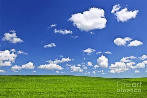 Green Rolling Hills Under Blue Sky Photograph By Elena Elisseeva