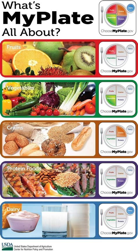 Options From My Plate Dairy Protein Fruit Vegetable Whole Grains