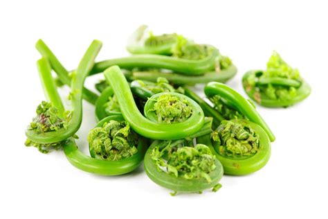 What Are Fiddleheads And When Are They In Season
