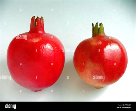Fruits Two Red Color Pomegranates Food Fruit On White Background Stock