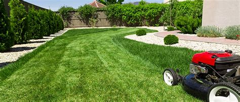 Lawn Care Services Making Your Garden Look Its Best Barrels Of Hope