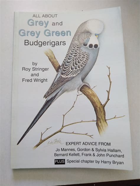 All About Grey And Grey Green Budgerigars By Fred Wright And Roy Stringe