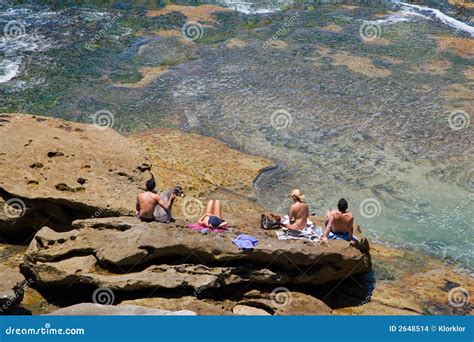 People Tanning On A Rock Stock Photo Image Of Tanning 2648514