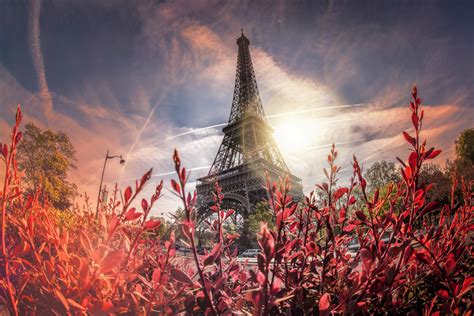 Cherry Blossom Background Eiffel Tower Wallpaper Bc3