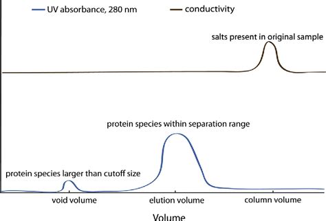 Gel Filtration Chromatography Size Exclusion Chromatography Of