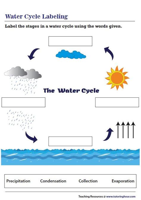 Water Cycle Labeling Worksheet Water Day Water Life Science