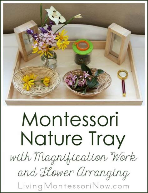 Montessori Nature Tray With Magnification Work And Flower Arranging